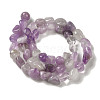 Natural Amethyst Beads Strands G-B078-D12-01-3