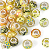30Pcs Printed Transparent Resin European Beads RESI-TADJ0001-03B-2