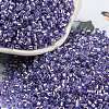 Glass Seed Beads SEED-S042-04A-08-1