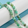 Natural Chrysoprase Beads Strands G-P503-4MM-03-2