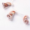 Natural Freshwater Shell Beads Strands X-BSHE-L036-21-3