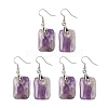 Natutal Amethyst Dangle Earrings EJEW-F343-E09-1