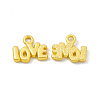 Rack Plating Alloy Charms FIND-G045-62MG-1