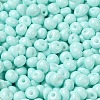 6/0 Opaque Baking Paint Glass Seed Beads SEED-M012-02A-04-3