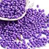 Baking Paint Glass Seed Beads X1-SEED-A032-02T-1