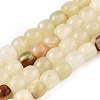 Dyed Natural White Jade Beads Strands G-T138-210B-4