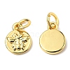 Brass Charms ZIRC-E164-57G-2