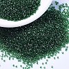 MIYUKI Delica Beads X-SEED-J020-DB1894-1
