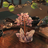 Natural Amethyst Display Decorations PW-WG2F573-01-4