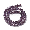 Natural Amethyst Beads Strands G-M445-8MM-01D-4