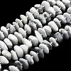 Natural Howlite Beads Strands G-K245-H03-01-1