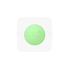 Luminous Glow in the Dark Round Silicone Beads PW-WGB50F5-11-1