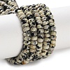 Natural Dalmatian Jasper Beads Strands G-K343-C36-01-2