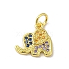 Real 18K Gold Plated Brass Pave Cubic Zirconia Pendants KK-M283-02E-02-1