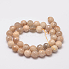 Natural Sunstone Beads Strands G-J157-8mm-08-2