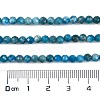 Natural Apatite Beads Strands G-C127-A01-01-4