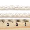 Natural Keshi Pearl Cultured Freshwater Pearl Beads Strands PEAR-P062-25D-5