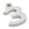 Non-Tarnish 304 Stainless Steel Charms STAS-G244-01E-3