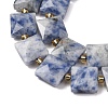Natural Blue Spot Jasper Beads Strands G-F839-A15-01-4