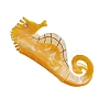 Cellulose Acetate Claw Hair Clips PW-WG5460F-01-1