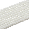 Opaque Glass Beads Stands EGLA-A035-P3mm-D01-2