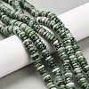 Natural Green Spot Jasper Beads Strands G-Q159-B35-01-1
