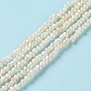 Natural Keshi Pearl Beads Strands PEAR-E018-64-2