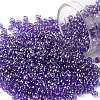 TOHO Round Seed Beads X-SEED-TR08-0252-1