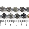 Natural Labradorite Beads Strands G-C116-A47-01-5