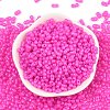 Baking Paint Glass Seed Beads SEED-L011-09A-13-2