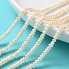 Grade AA Natural Cultured Freshwater Pearl Beads Strands PEAR-L003-B-03-01-4