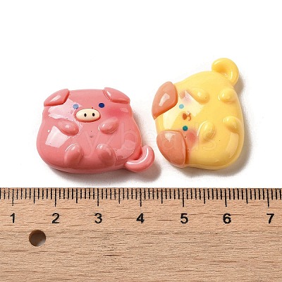 Opaque Resin Decoden Cabochons RESI-B023-04-1