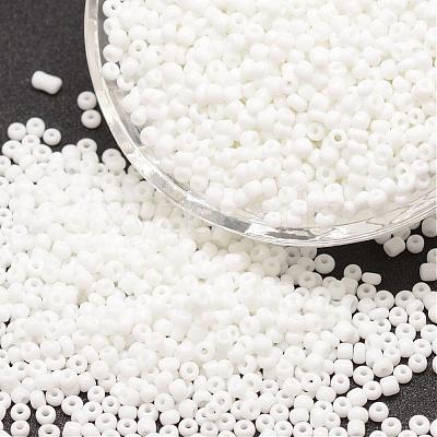 8/0 Glass Seed Beads SEED-J014-F8-41-1