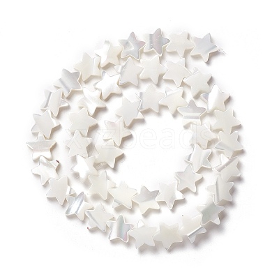 Natural Trochid Shell/Trochus Shell Beads SSHEL-O001-25C-02-1