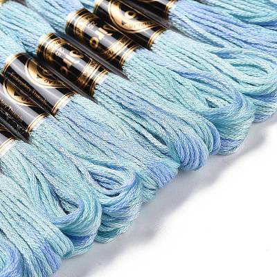 10 Skeins 6-Ply Polyester Embroidery Floss OCOR-K006-A11-1
