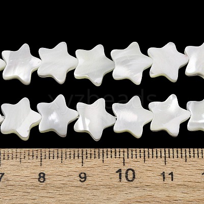 Natural Trochid Shell/Trochus Shell Beads Strands SH-CBA2978-17B-1