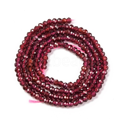 Natural Garnet Beads Strands X-G-F770-D02-02-1