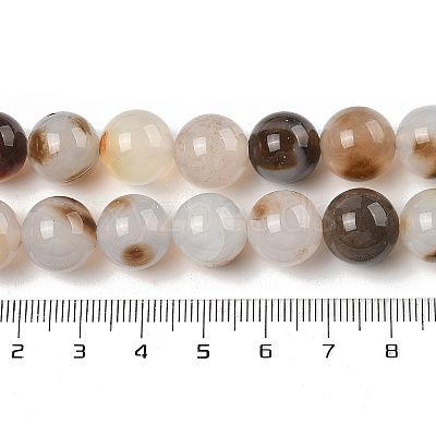 Natural Dendritic Agate Beads Strands G-A248-A07-03-1