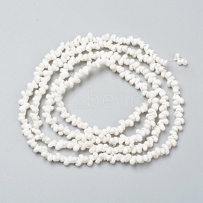 Natural Spiral Shell Beads Strands X-BSHE-I011-11C-1