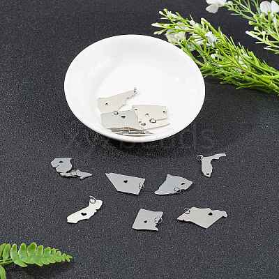 12Pcs 12 Style 201 Stainless Steel Pendants STAS-SC0002-36P-1