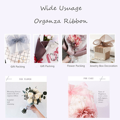 Organza Ribbon RS6mmY024-1