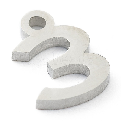 Non-Tarnish 304 Stainless Steel Charms STAS-G244-01E-1