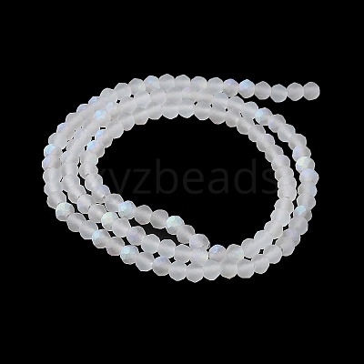 Transparent Glass Beads Strands EGLA-A044-T4mm-MB19-1