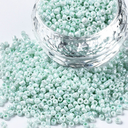 Glass Seed Beads SEED-S060-A-973-1