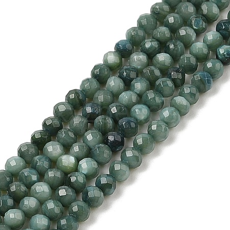 Natural Freshwater Shell Dyed Beads Strands SHEL-R100-12A-05-1