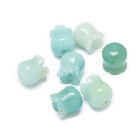 Natural Amazonite Beads X-G-F637-03F-1