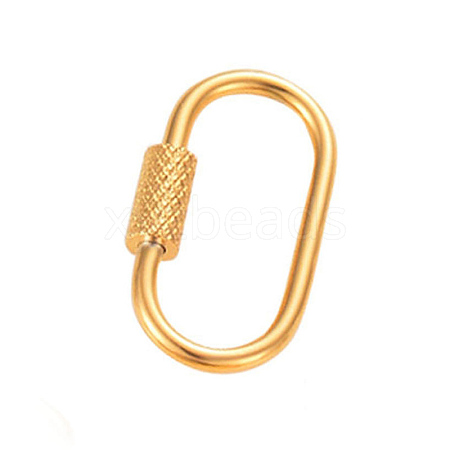 Stainless Steel Keychain Clasps PW-WGDACCF-05-1