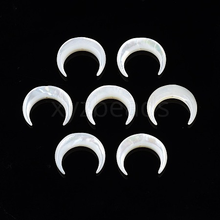 Natural White Shell Mother of Pearl Shell Beads X-SSHEL-T012-07-1