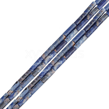 GOMAKERER 2 Strands Natural Sodalite Beads Strands G-GO0001-42-1