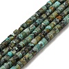 Natural African Turquoise(Jasper) Beads Strands G-C084-D03-02-1